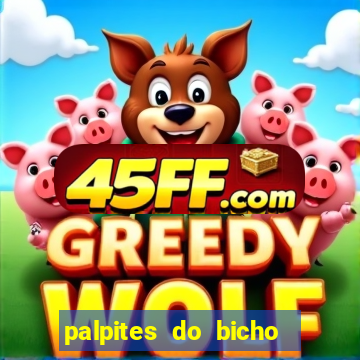 palpites do bicho no celular